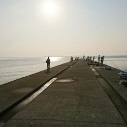 まさかの高級魚