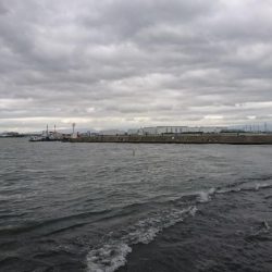 かもめ大橋ツバス