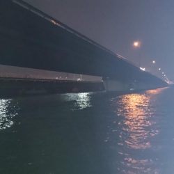 シーバス釣行のはずが・・・