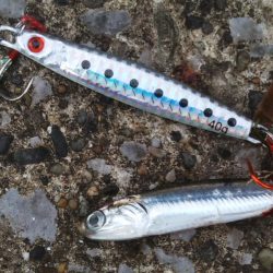 渋いのは自分だけ……夕マズメ