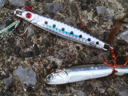 渋いのは自分だけ……夕マズメ