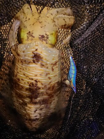 今期の記録更新