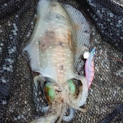 好状況ながら渋い