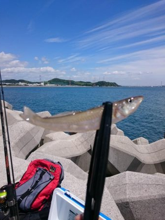 キスぼちぼちきてるよー！