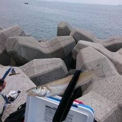 んーなかなか乗らず(^_^;)