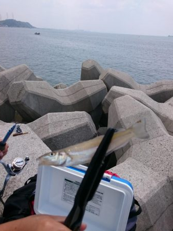 んーなかなか乗らず(^_^;)