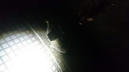 好調！！アジング短時間