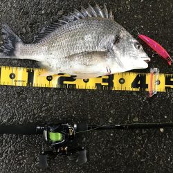 びっくりした。。