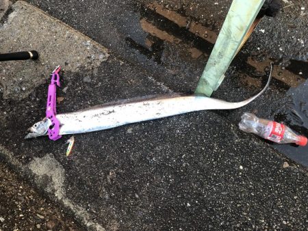 強風追い風のライトショアジギング