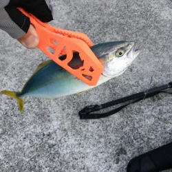 ポーアイ沖堤防