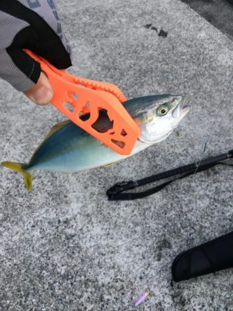 ポーアイ沖堤防