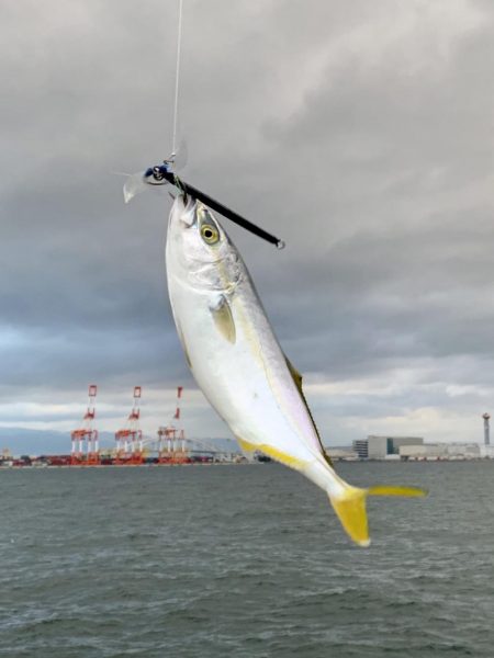 コスモスクエアでツバス