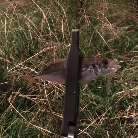 入れ替わりましたね！