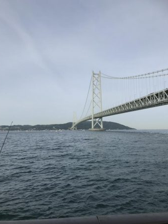 豆アジの季節 おせんの季節