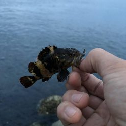 ショアジギング&穴釣り