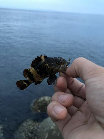 ショアジギング&穴釣り