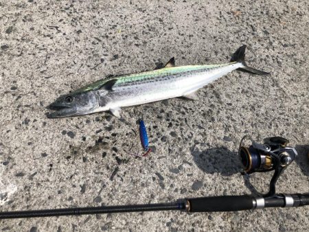 ショアジギとライトゲーム