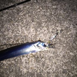 時合は22時から？