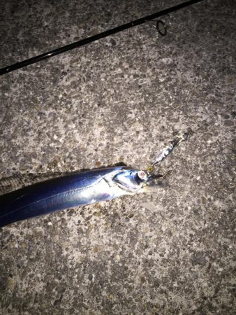 時合は22時から？