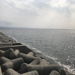 とりあえず青物…。