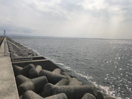 とりあえず青物…。