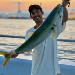 コスモスクエアでブリ