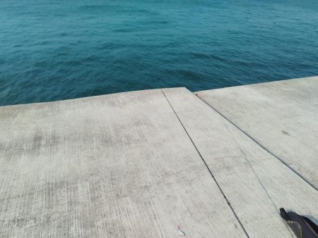 ショアジンギング