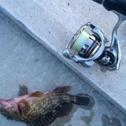 久々のプチ夜釣