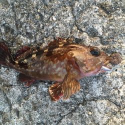 ちょっとだけ♪