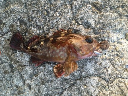 ちょっとだけ♪