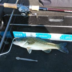 アフタースポーン