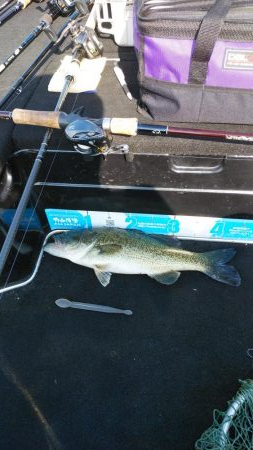 アフタースポーン