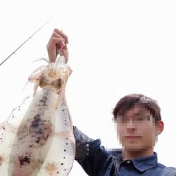 粘った末……春アオリゲット!!