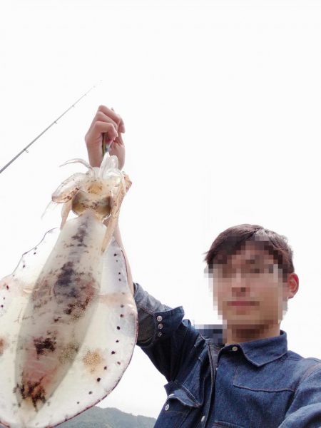 粘った末……春アオリゲット!!