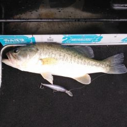 アフタースポーン