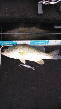 アフタースポーン