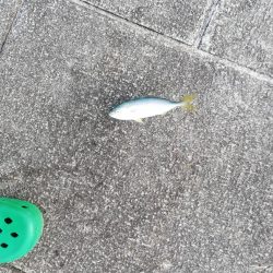 サイズダウンしてる！