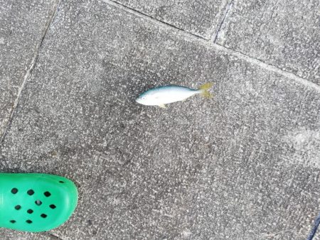 サイズダウンしてる！