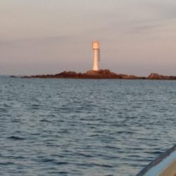 イサキ・尾長・コツパ多数・・