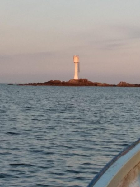 イサキ・尾長・コツパ多数・・