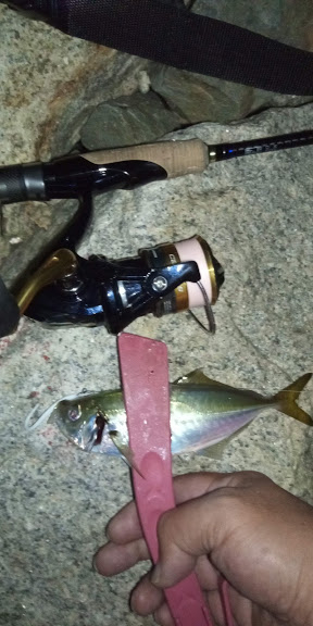 よく釣れました