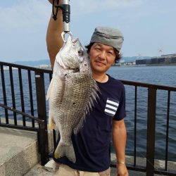 クロダイ　キビレ