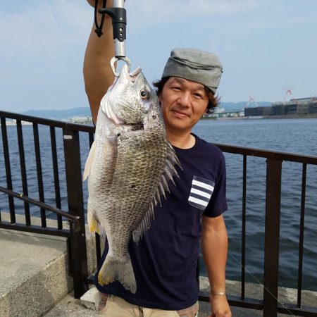 クロダイ　キビレ