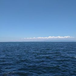 ツバスしか釣れない