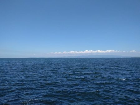 ツバスしか釣れない