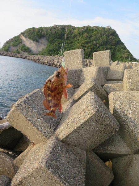 梅雨メバル狙い。そろそろ終わりか？