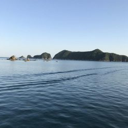 中紀まで行くも