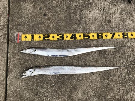 熱くなってきた