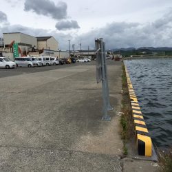 コアジ、豆アジ89匹 コサバ35匹