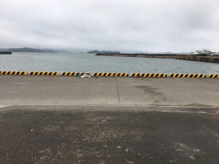 コアジ43匹、ガシラ7匹、コッパグレ1匹、コサバ4匹、外道大型フグ